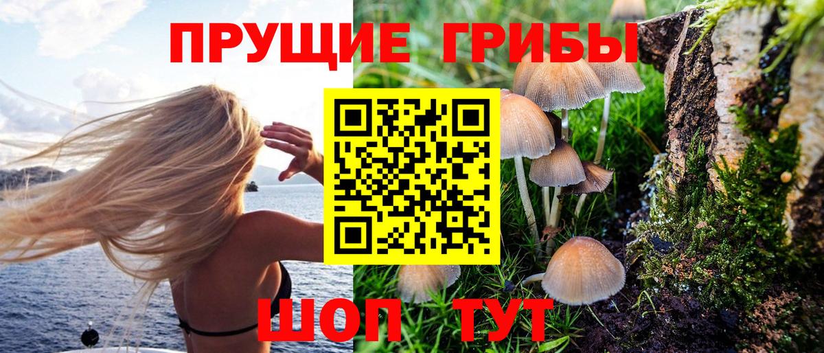 Галлюциногенные грибы мухоморы  Вход с VPN  Галлюциногенные грибы Psilocybine cubensis  Корсаков 